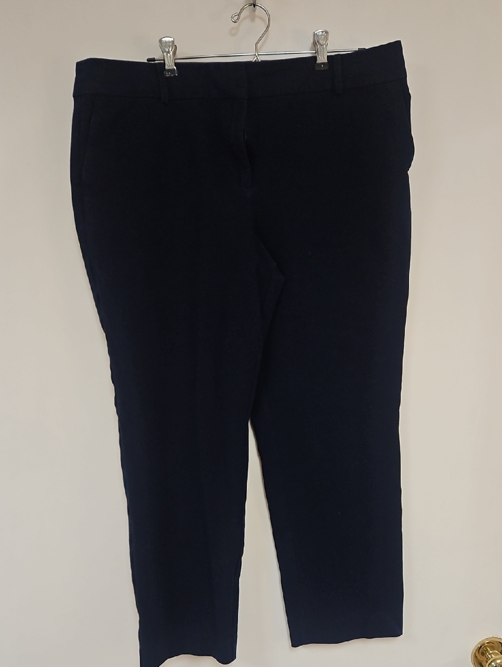 Anne Taylor Factory Navy  Cropped Women's Pants